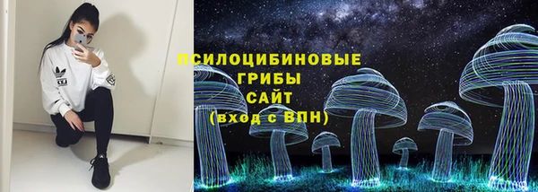 ешки Алексеевка