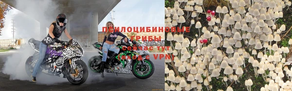 ешки Алексеевка