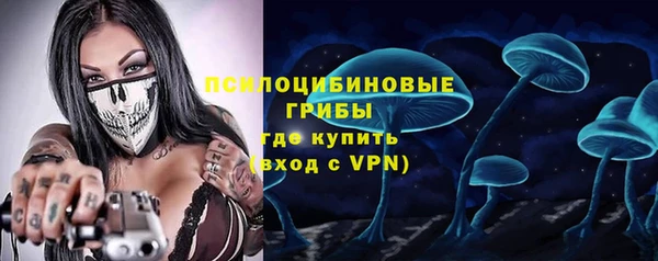 ГАЛЛЮЦИНОГЕННЫЕ ГРИБЫ Арсеньев