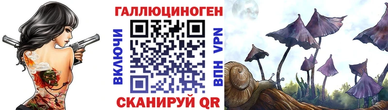 магазин наркотиков Новошахтинск Галлюциногенные грибы Psilocybe